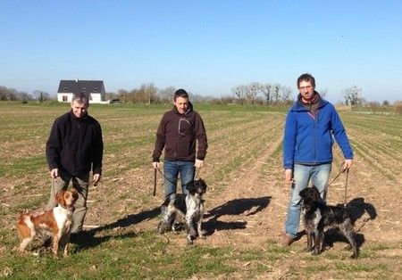 Des Mordorées Aux Gentianes - Gin devient champion gibier sauvage